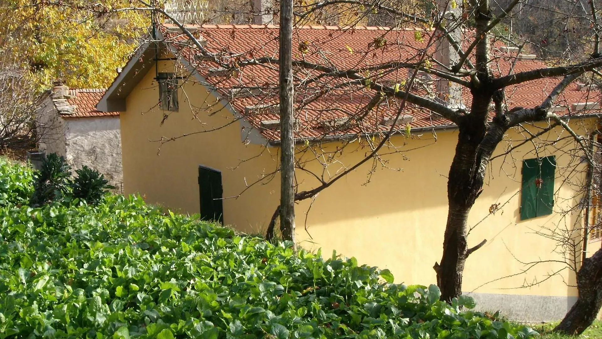 Farm stay Agriturismo Prato Fiorito Bagni di Lucca Italy